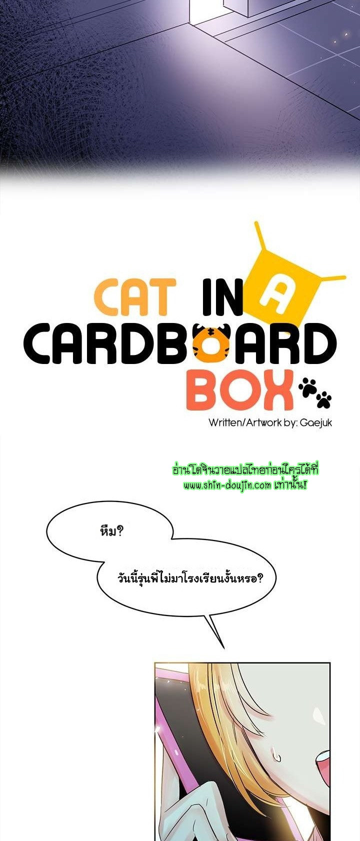 Cat in a Cardboard Box EP 7